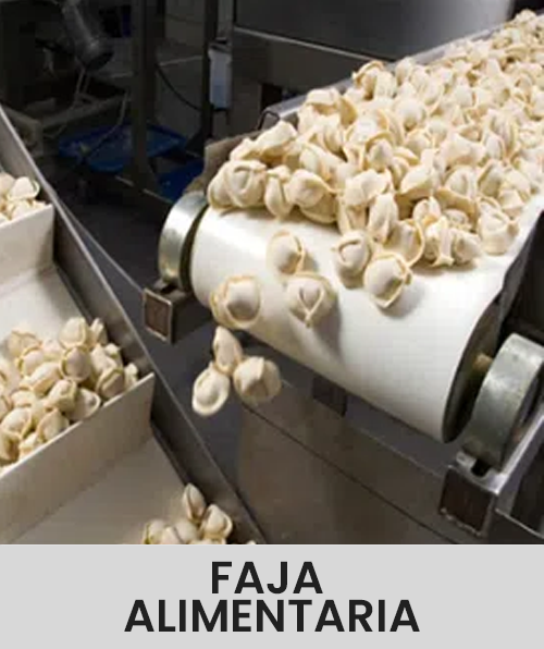 Descripción de la imagen